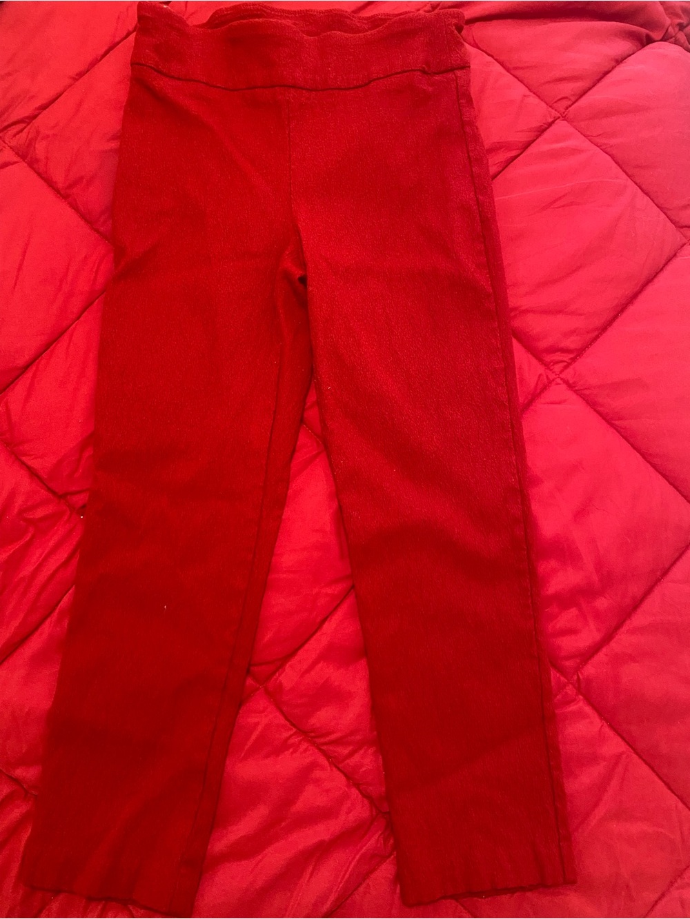 Attyre petite Bright Red Knit Leggings
